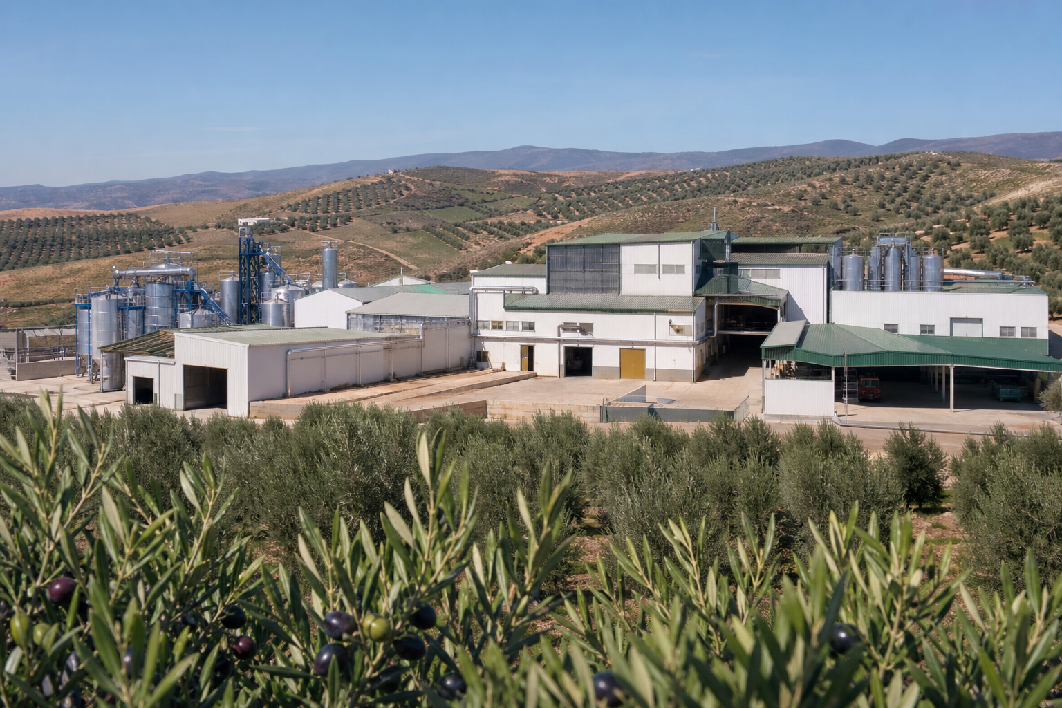 EIE — Trituration d'olives et légumes
